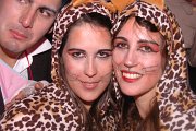GALERIA 31